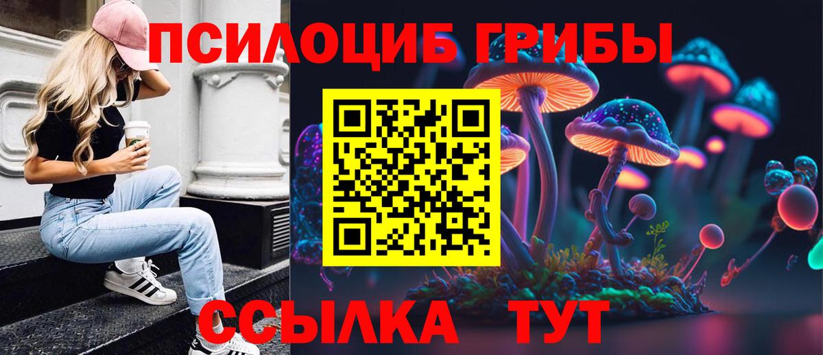 Галлюциногенные грибы Cubensis  Вход с VPN  Псилоцибиновые грибы Psilocybine cubensis  Вязьма 